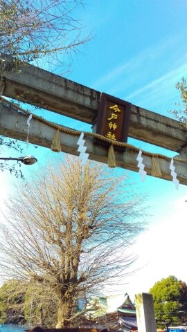 浅草 今戸神社へ行ってきました。