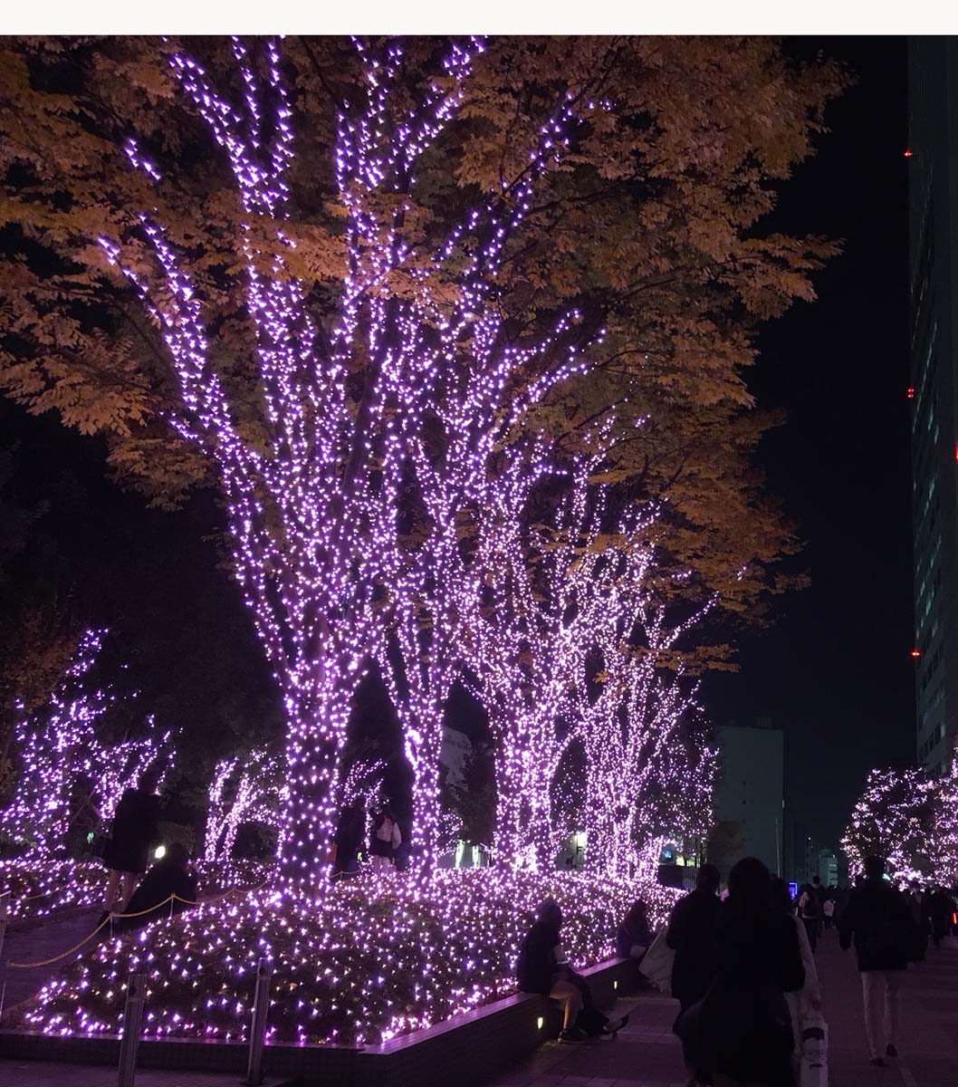 新宿の夜